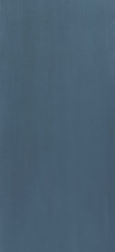 Blue 50x110