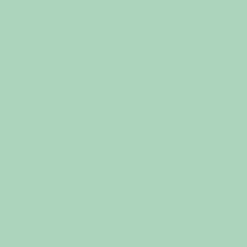 Mint 11,5x11,5